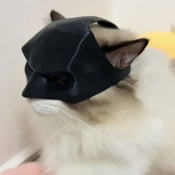 Batman Mask For Your Cat